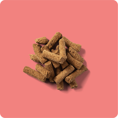 RAUH! Godis Salmon Treat - Handla på Gaston