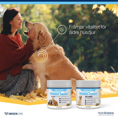 Wellichews Senior Medium/Large Dog - Handla på Gaston
