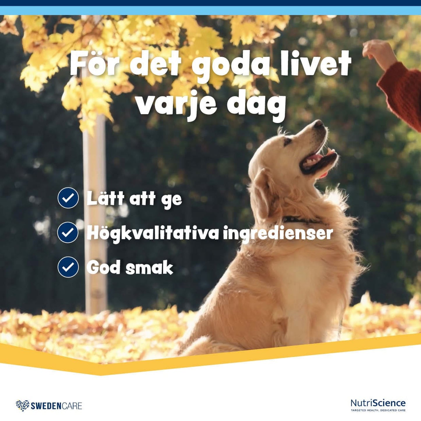 Wellichews Senior Medium/Large Dog - Handla på Gaston