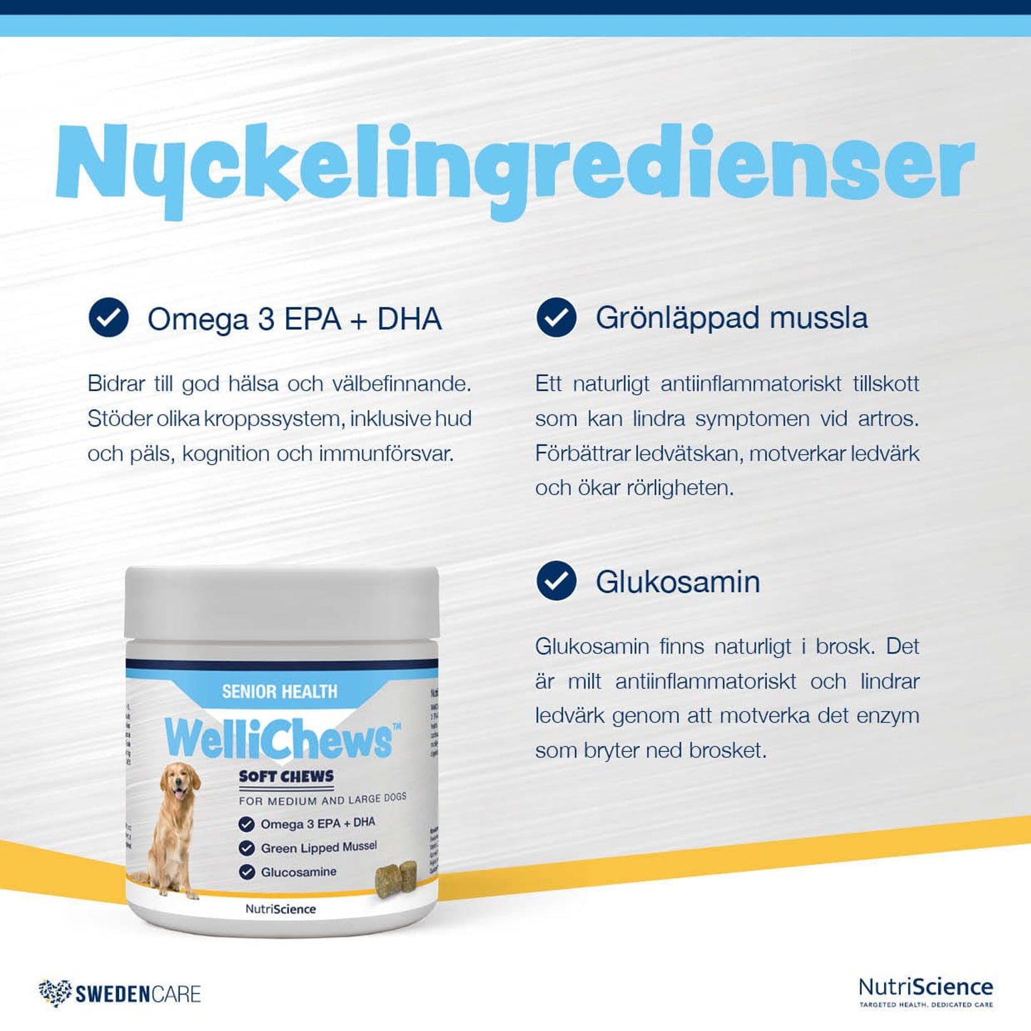 Wellichews Senior Medium/Large Dog - Handla på Gaston