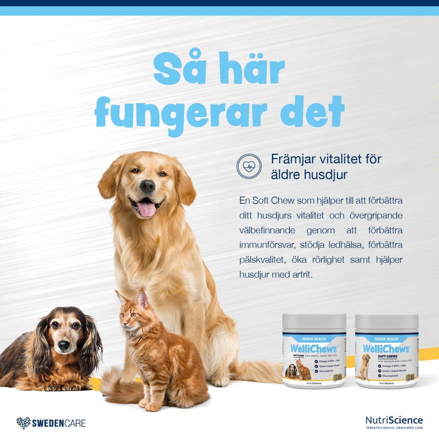 Wellichews Senior Small Dog/Cat - Handla på Gaston