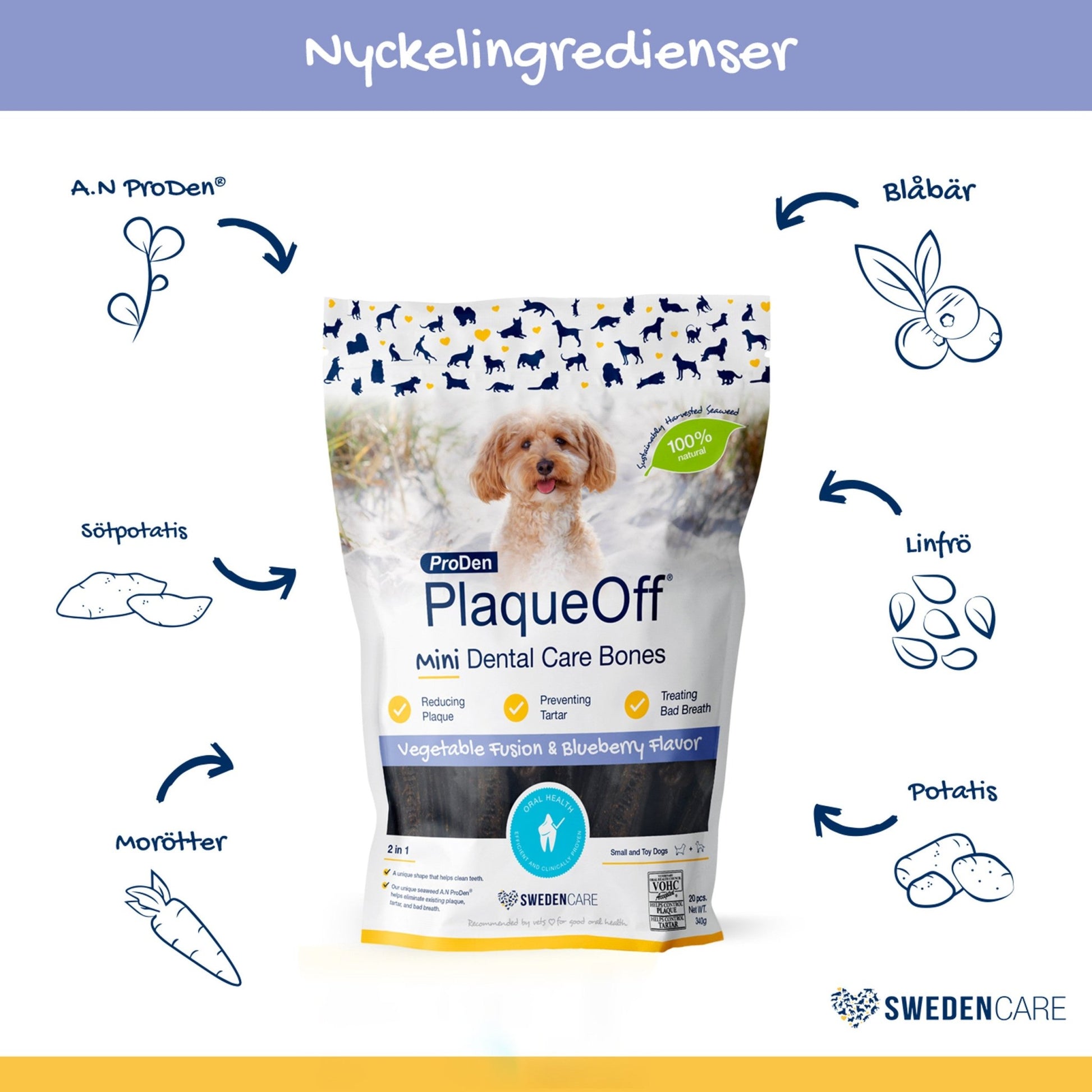 ProDen PlaqueOff® Mini Dental Care Bones Blueberry & Veggie - Handla på Gaston