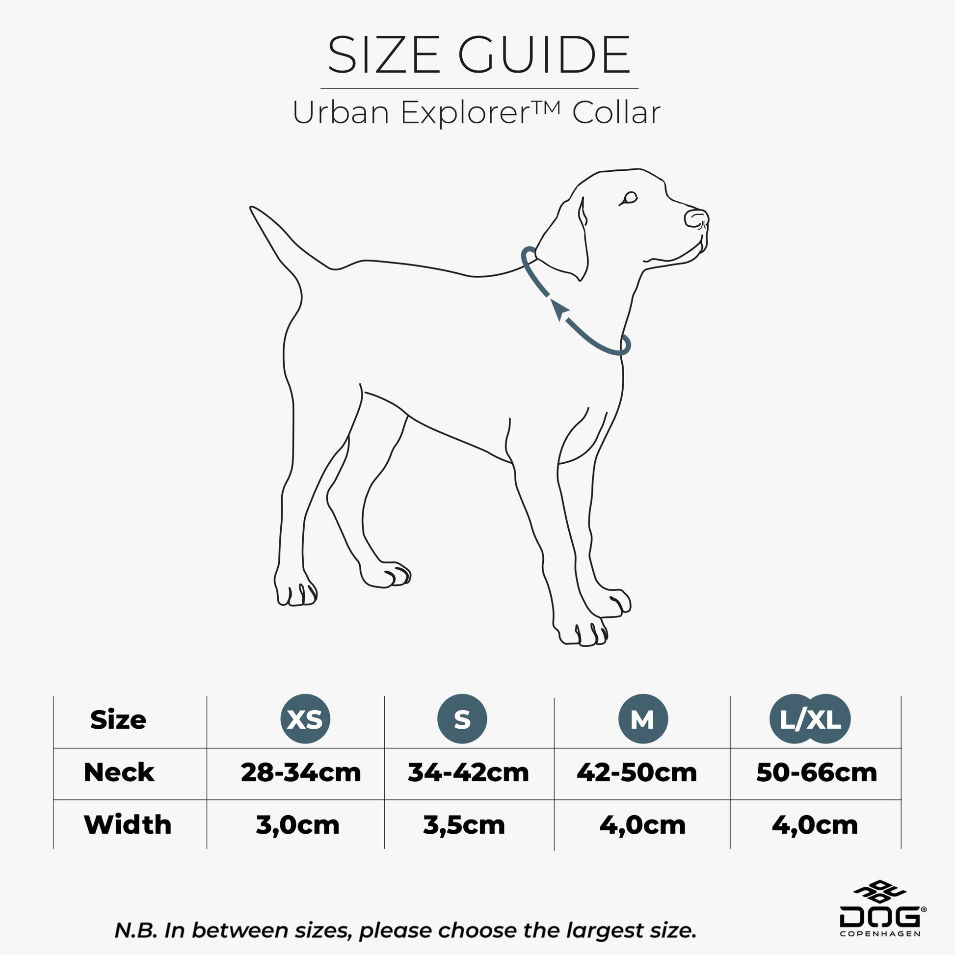 Dog Copenhagen Urban Explorer™ Collar - Handla på Gaston