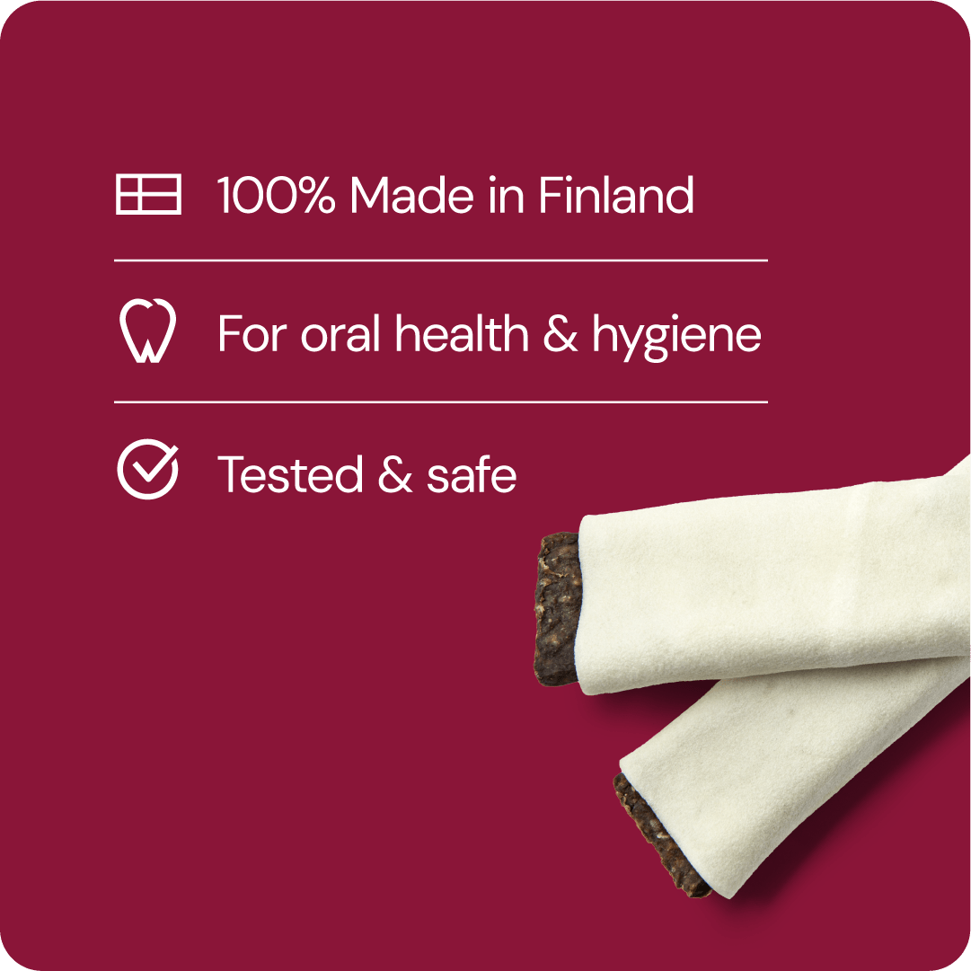 RAUH! Tuggben Beef Toast M - Handla på Gaston