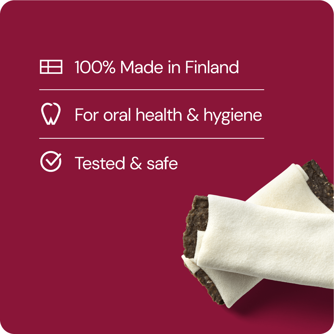 RAUH! Tuggben Beef Toast S - Handla på Gaston