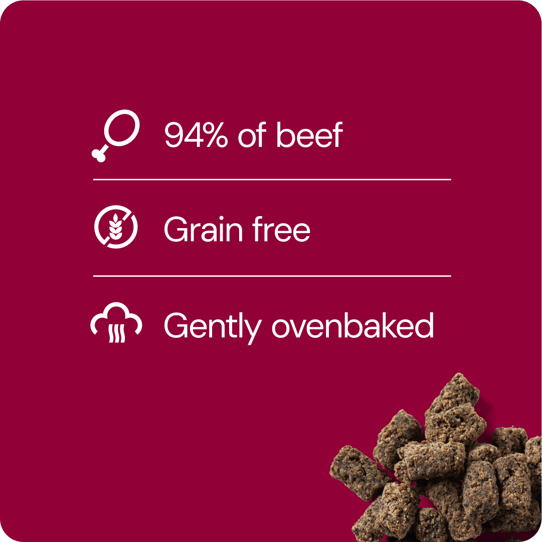 RAUH! Godis Beef Treat - Handla på Gaston