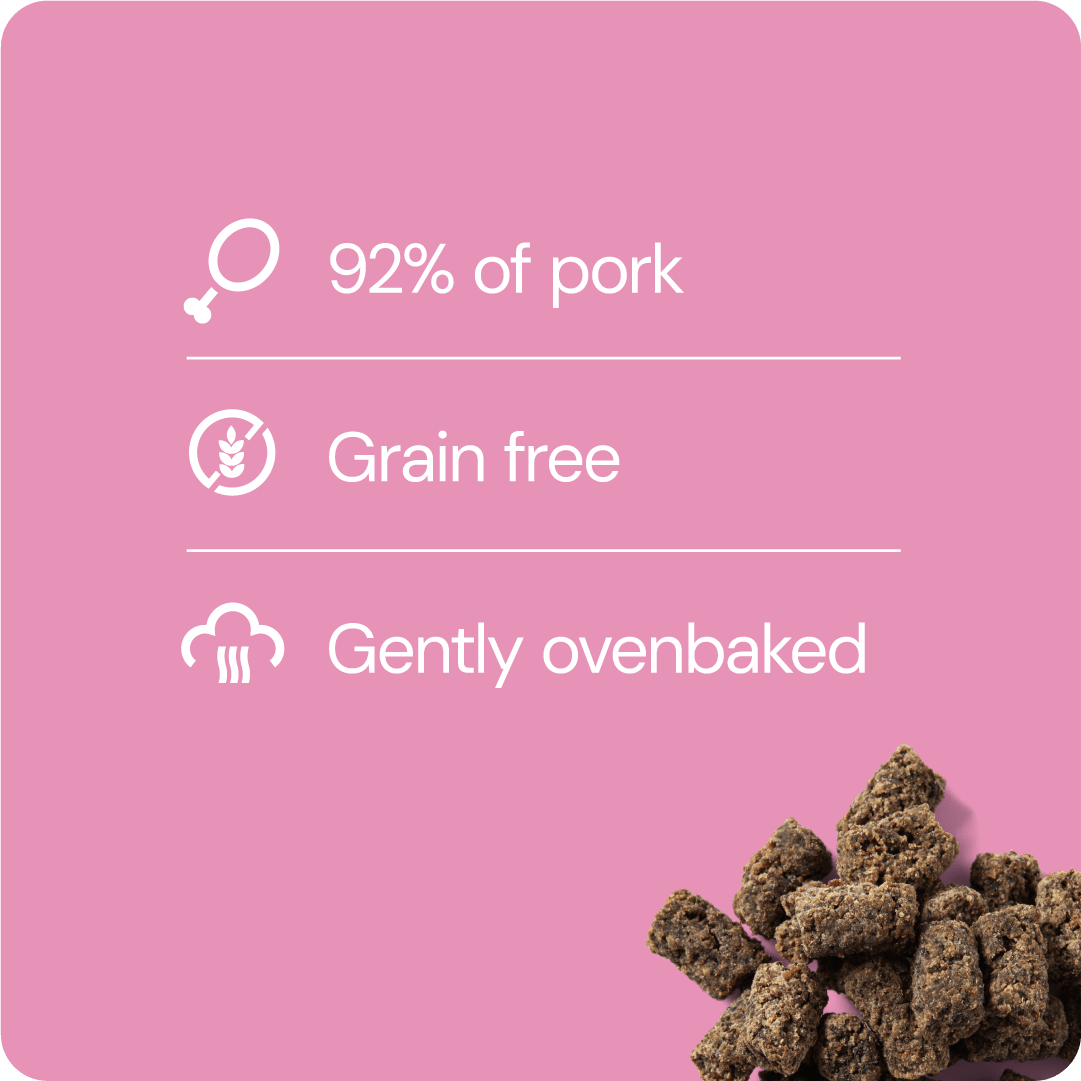 RAUH! Godis Pork Treat - Handla på Gaston