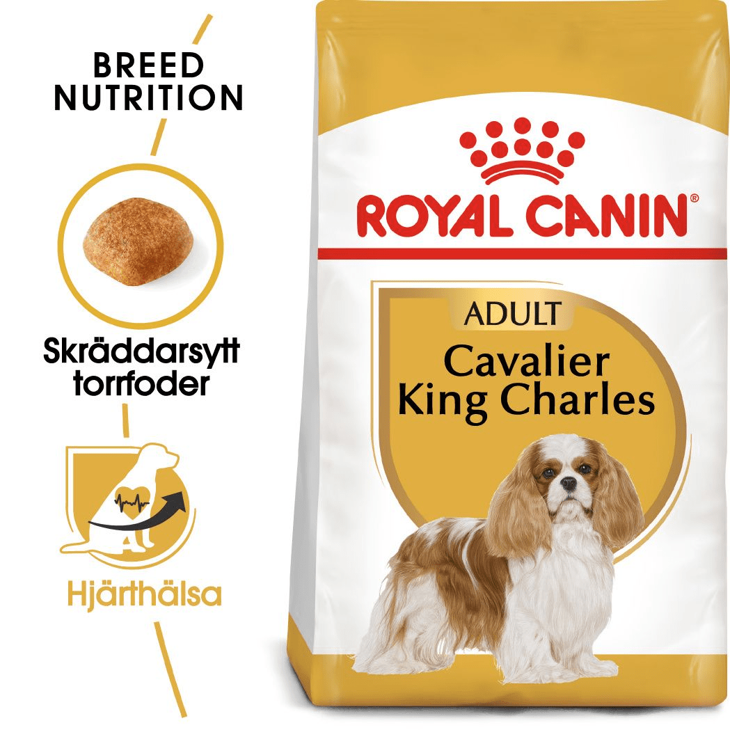 Royal Canin Cavalier King Charles Spaniel Adult - Handla på Gaston
