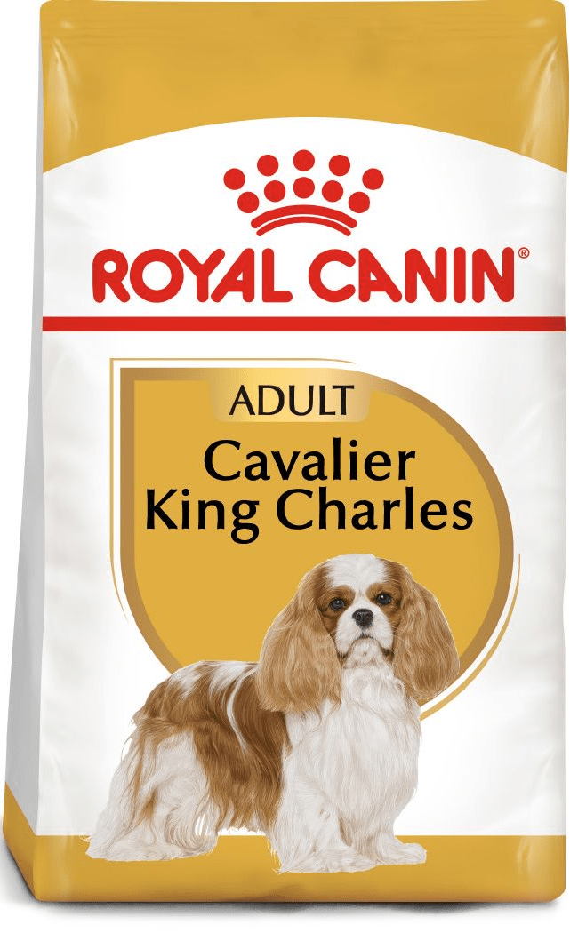 Royal Canin Cavalier King Charles Spaniel Adult - Handla på Gaston