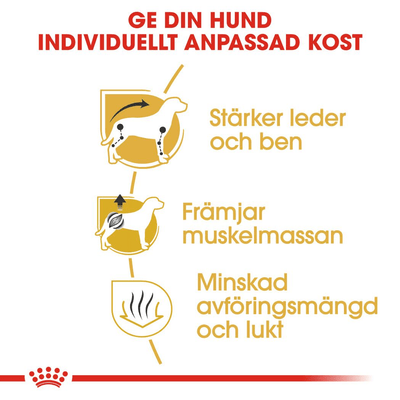 Royal Canin Dachshund Adult - Handla på Gaston
