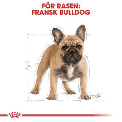 Royal Canin French Bulldog Adult - Handla på Gaston