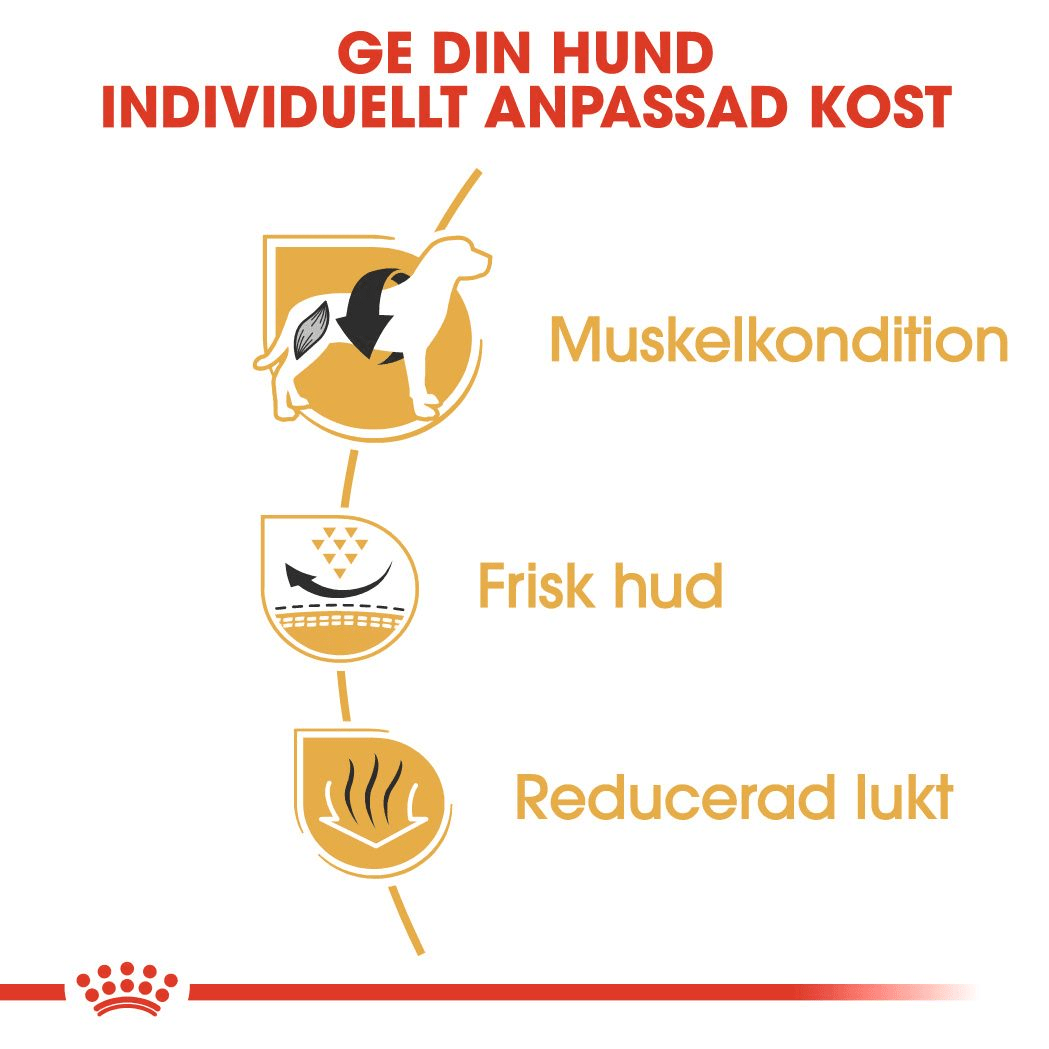 Royal Canin French Bulldog Adult - Handla på Gaston