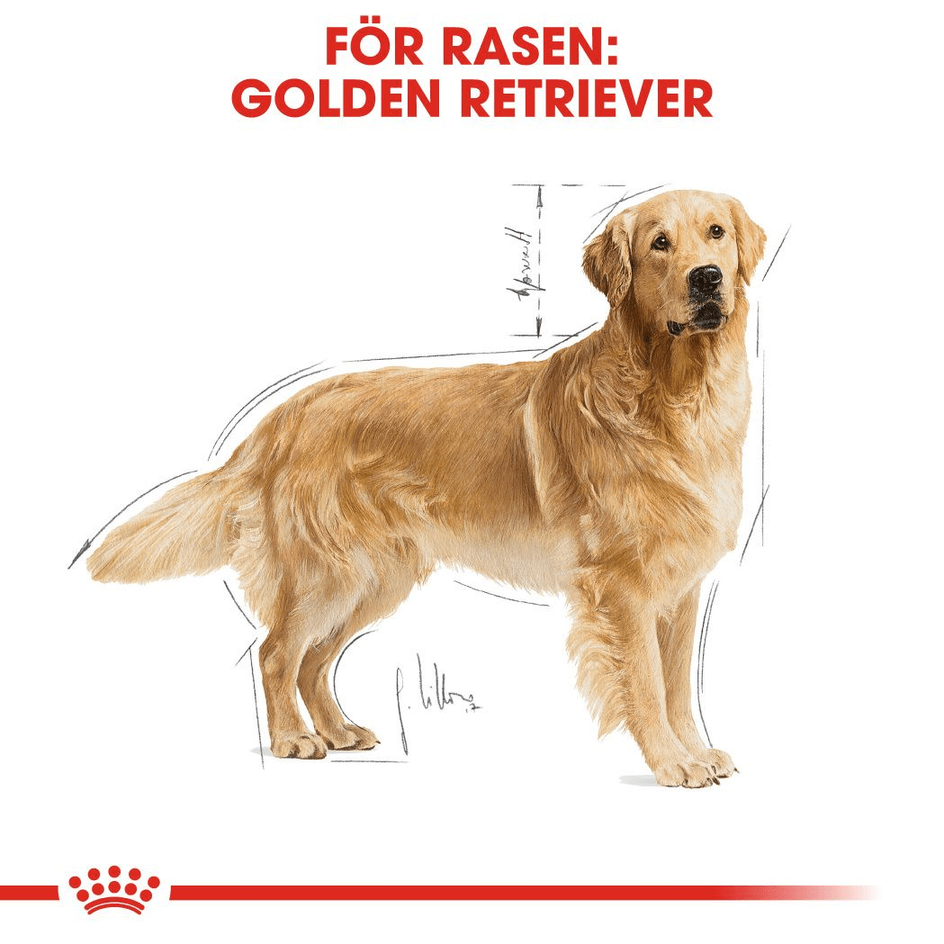 Royal Canin Golden Retriever Adult - Handla på Gaston