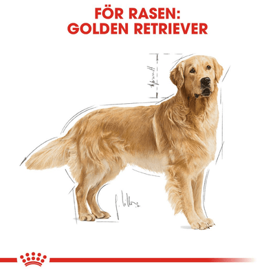 Royal Canin Golden Retriever Adult - Handla på Gaston
