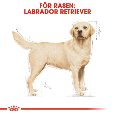 Royal Canin Labrador Retriever Adult - Handla på Gaston