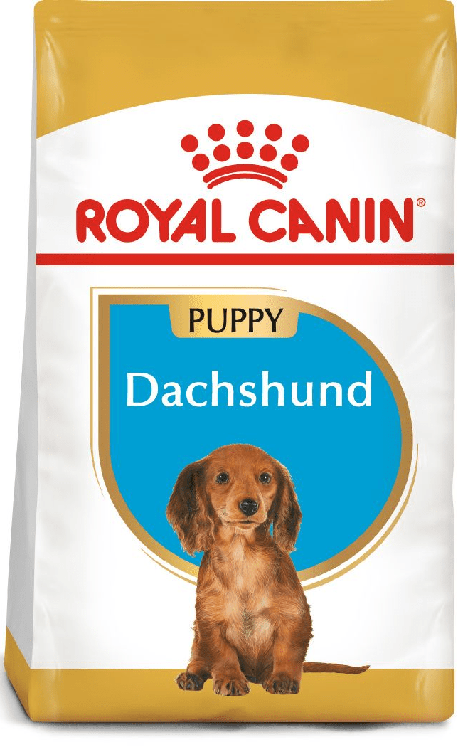 Royal Canin Dachshund Puppy - Handla på Gaston