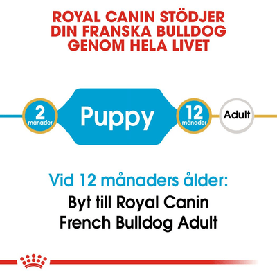 Royal Canin French Bulldog Puppy - Handla på Gaston