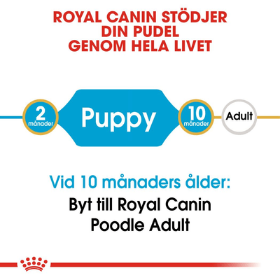 Royal Canin Poodle Puppy - Handla på Gaston