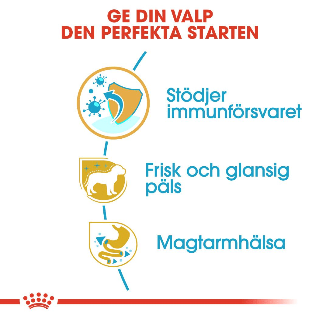 Royal Canin Poodle Puppy - Handla på Gaston