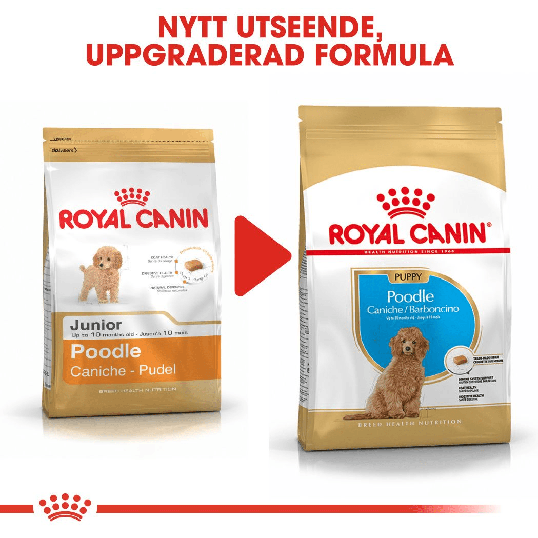 Royal Canin Poodle Puppy - Handla på Gaston