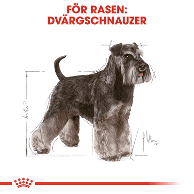 Royal Canin Miniature Schnauzer Adult - Handla på Gaston