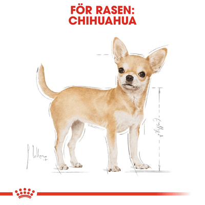 Royal Canin Chihuahua Adult Loaf - Handla på Gaston