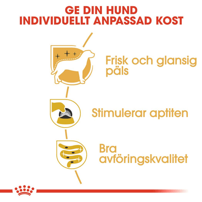 Royal Canin Yorkshire Terrier Adult Loaf - Handla på Gaston