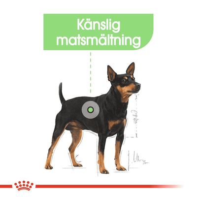 Royal Canin Digestive Care Loaf - Handla på Gaston