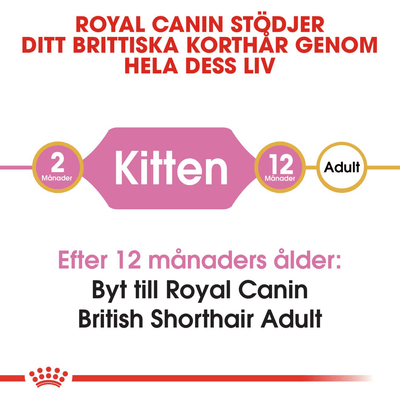 Royal Canin British Shorthair Kitten - Handla på Gaston