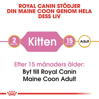 Royal Canin Maine Coon Kitten - Handla på Gaston
