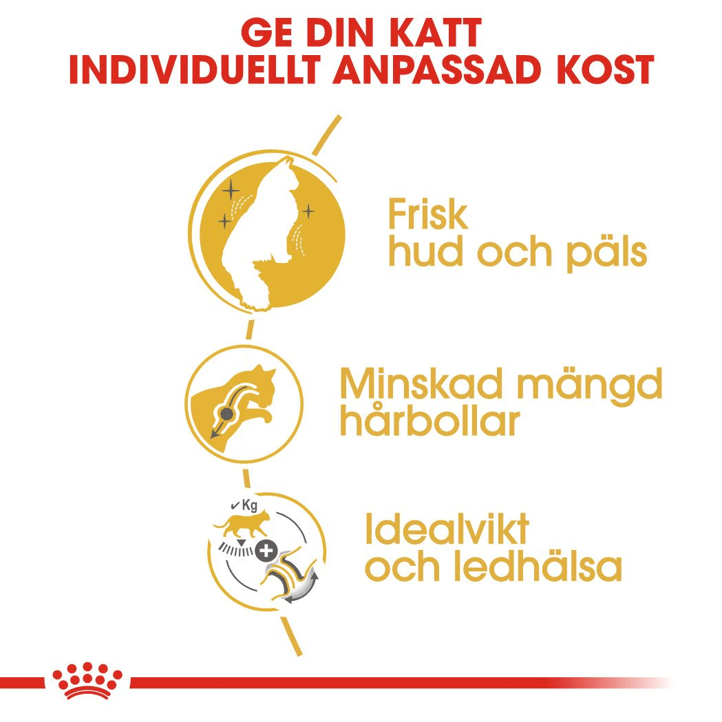 Royal Canin Norwegian Forest Cat Adult - Handla på Gaston