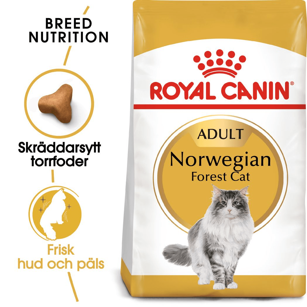Royal Canin Norwegian Forest Cat Adult - Handla på Gaston