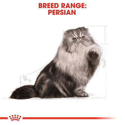 Royal Canin Persian Adult - Handla på Gaston