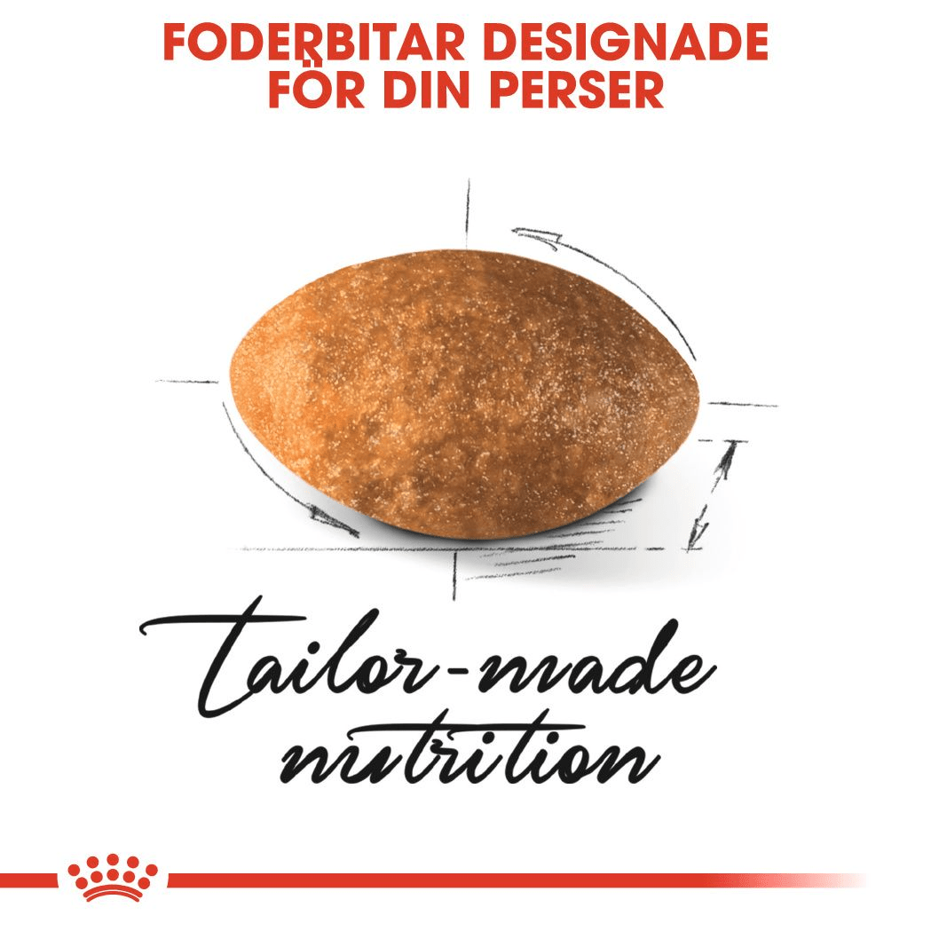 Royal Canin Persian Adult - Handla på Gaston