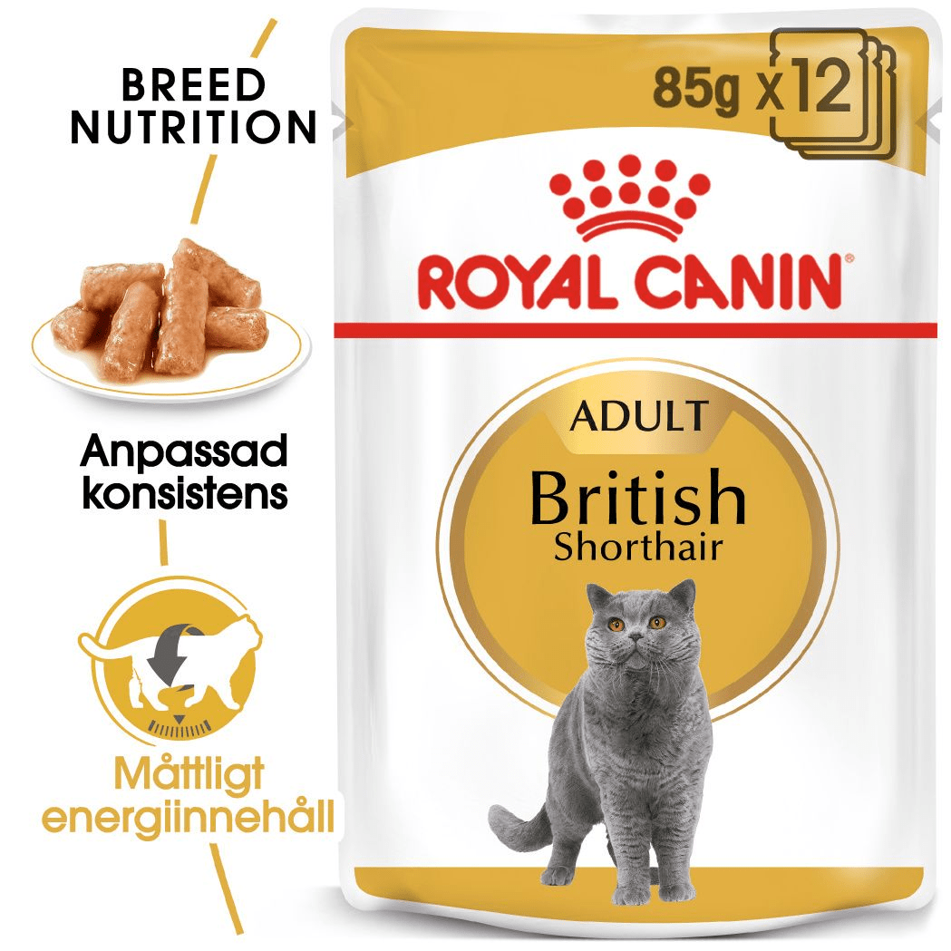 Royal Canin British Shorthair Gravy - Handla på Gaston