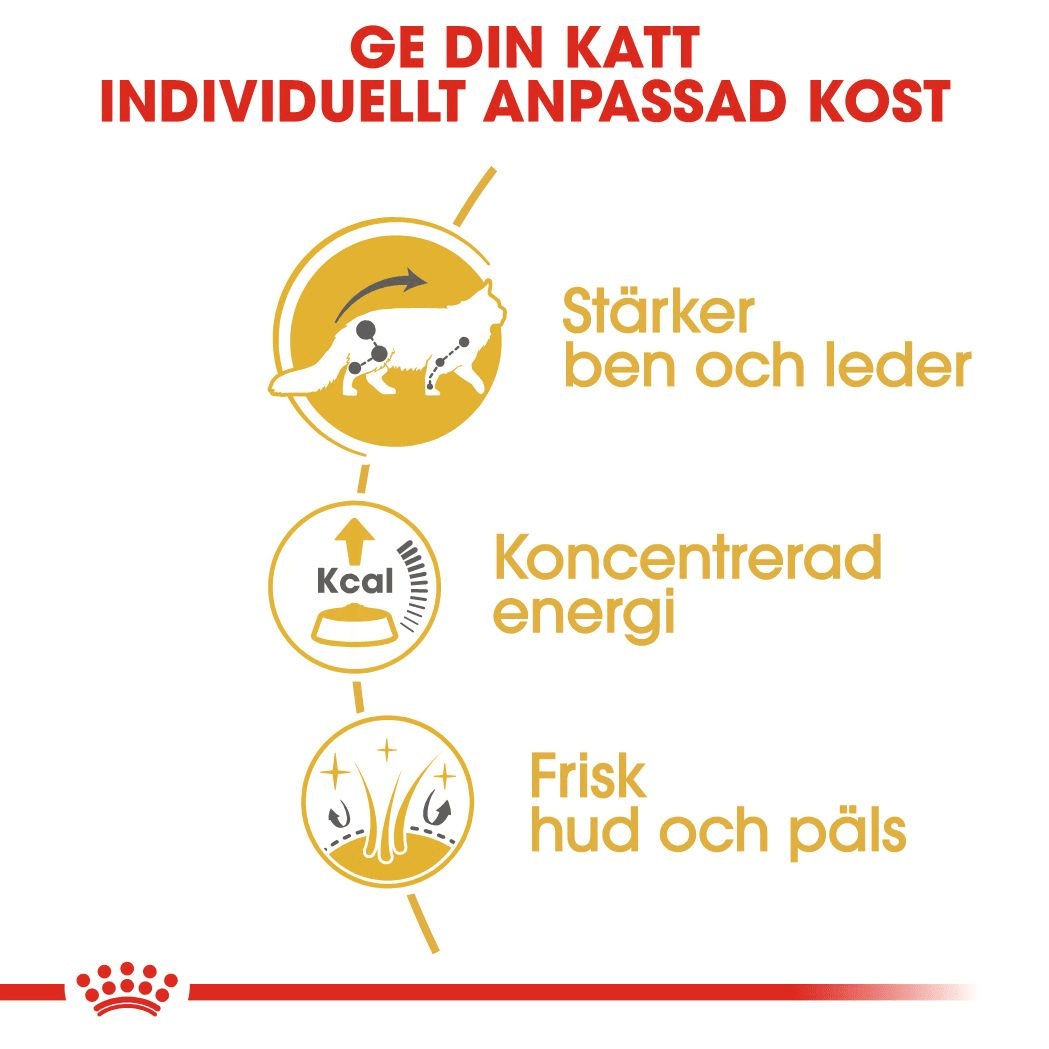 Royal Canin Maine Coon Adult Gravy - Handla på Gaston