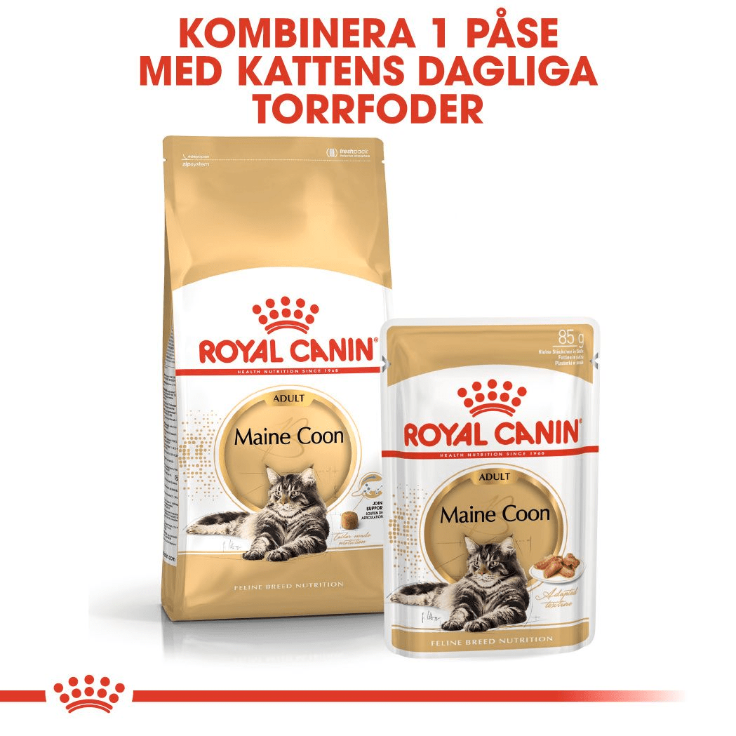 Royal Canin Maine Coon Adult Gravy - Handla på Gaston