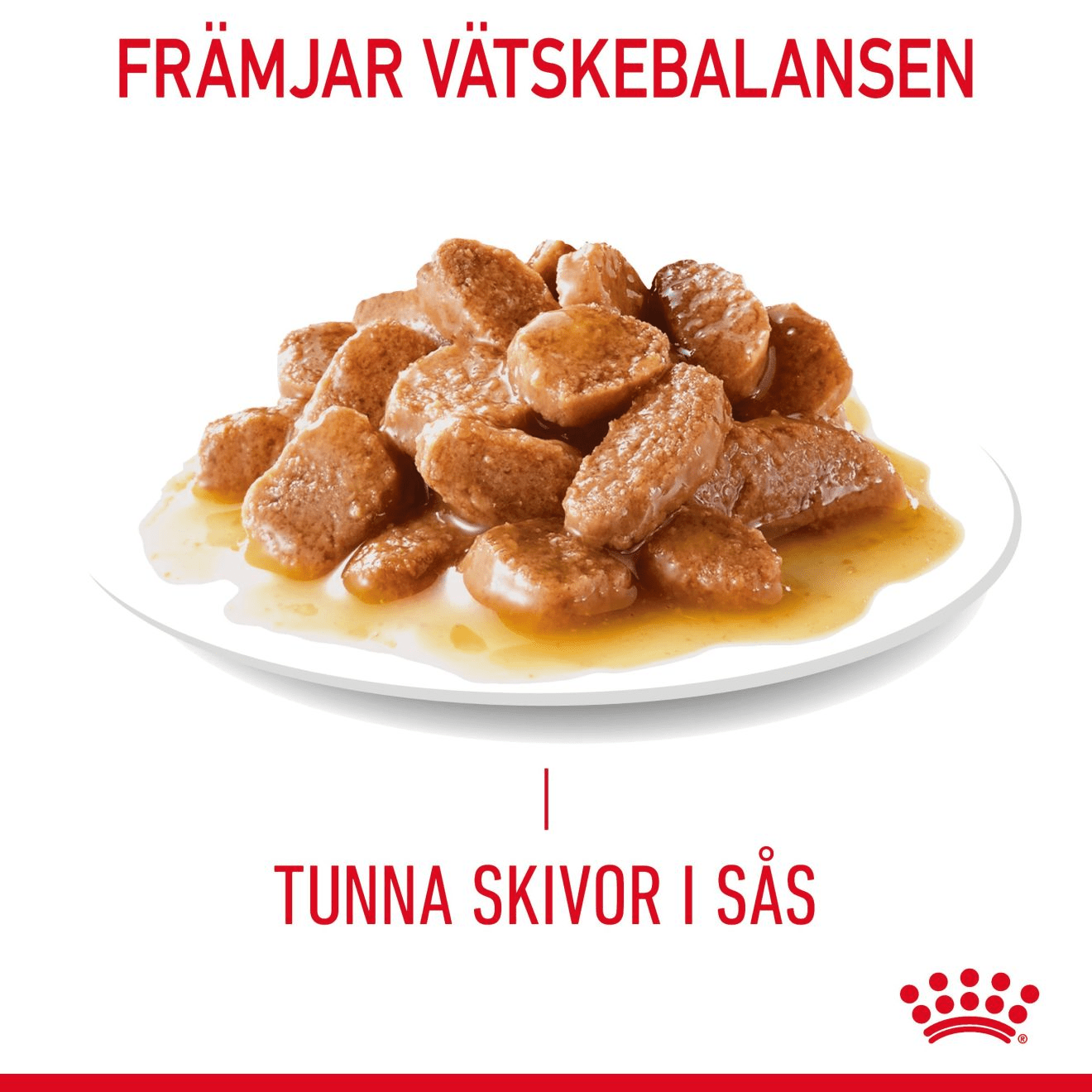 Royal Canin Digestive Care Gravy - Handla på Gaston