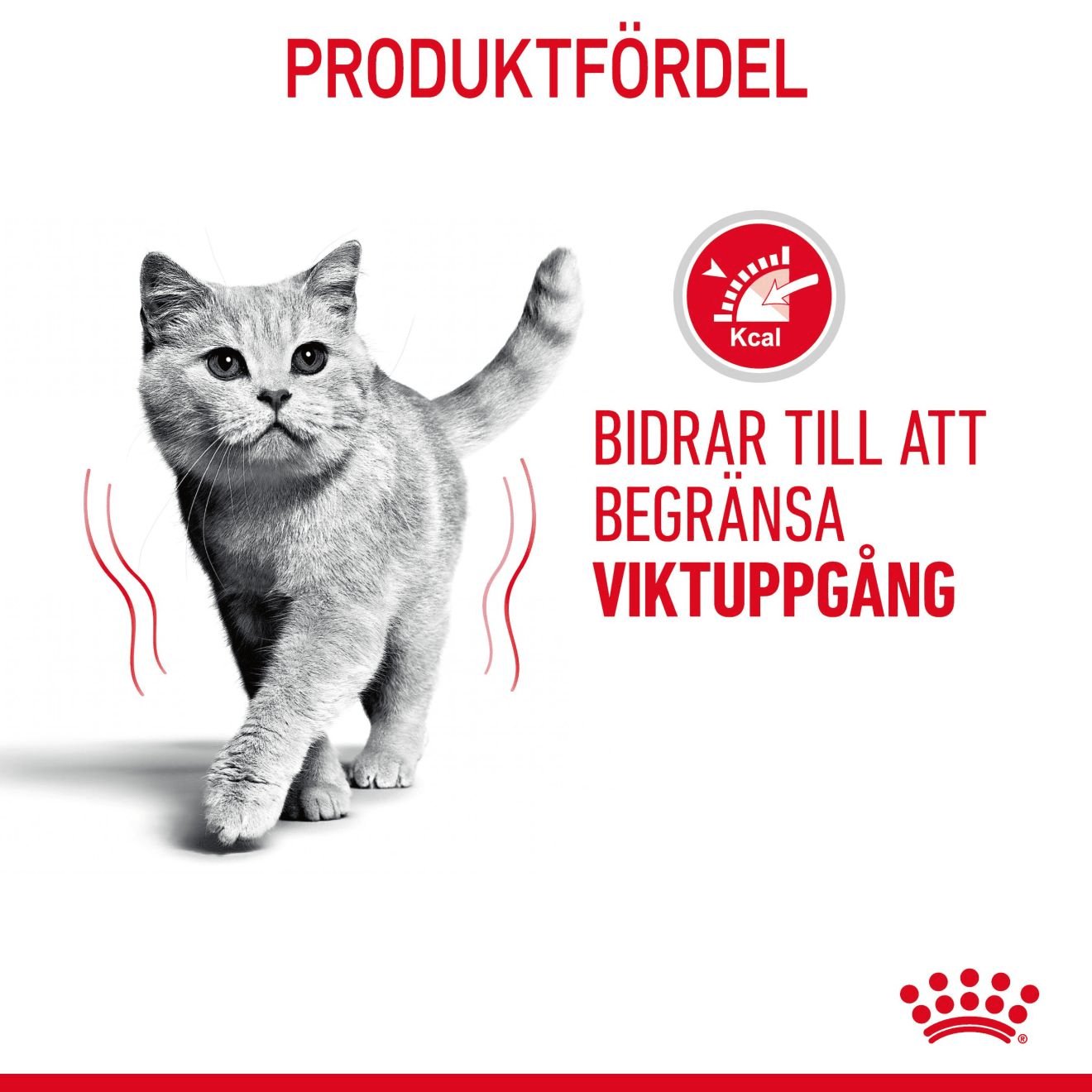 Royal Canin Light Weight Care - Handla på Gaston