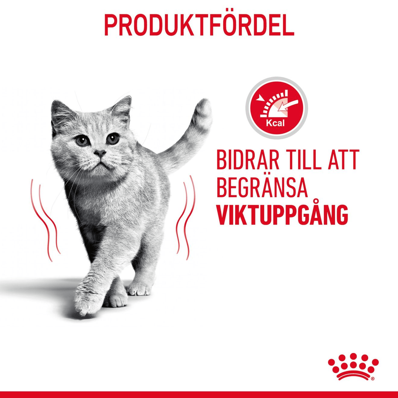 Royal Canin Light Weight Care Gravy - Handla på Gaston