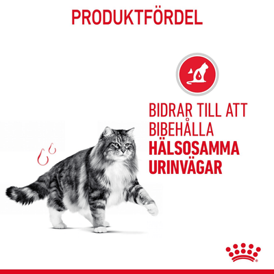 Royal Canin Urinary Care Gravy - Handla på Gaston