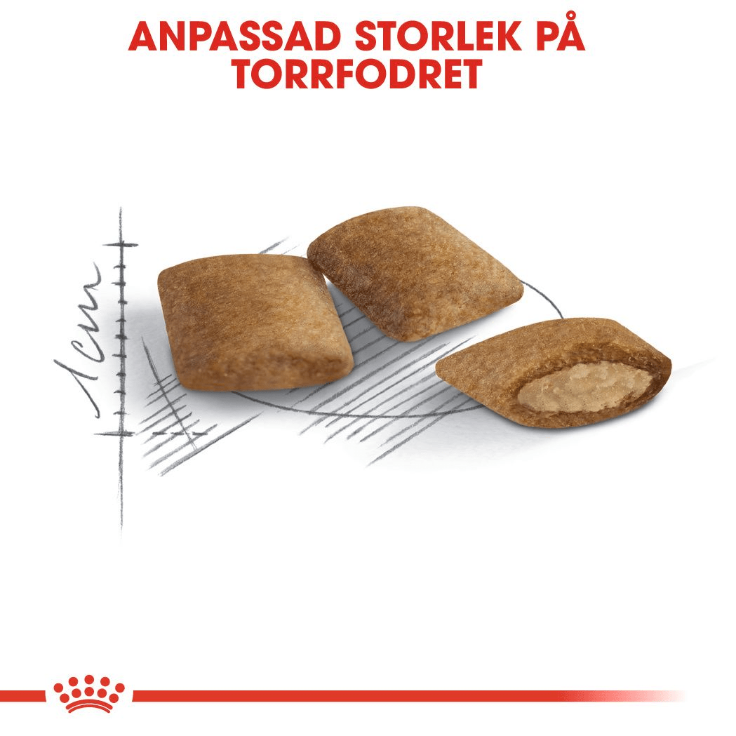 Royal Canin Senior Ageing 12+ - Handla på Gaston