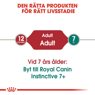 Royal Canin Instinctive Jelly - Handla på Gaston