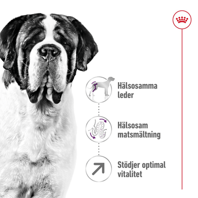 Royal Canin Giant Adult - Handla på Gaston