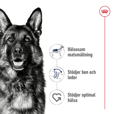Royal Canin Maxi Adult - Handla på Gaston