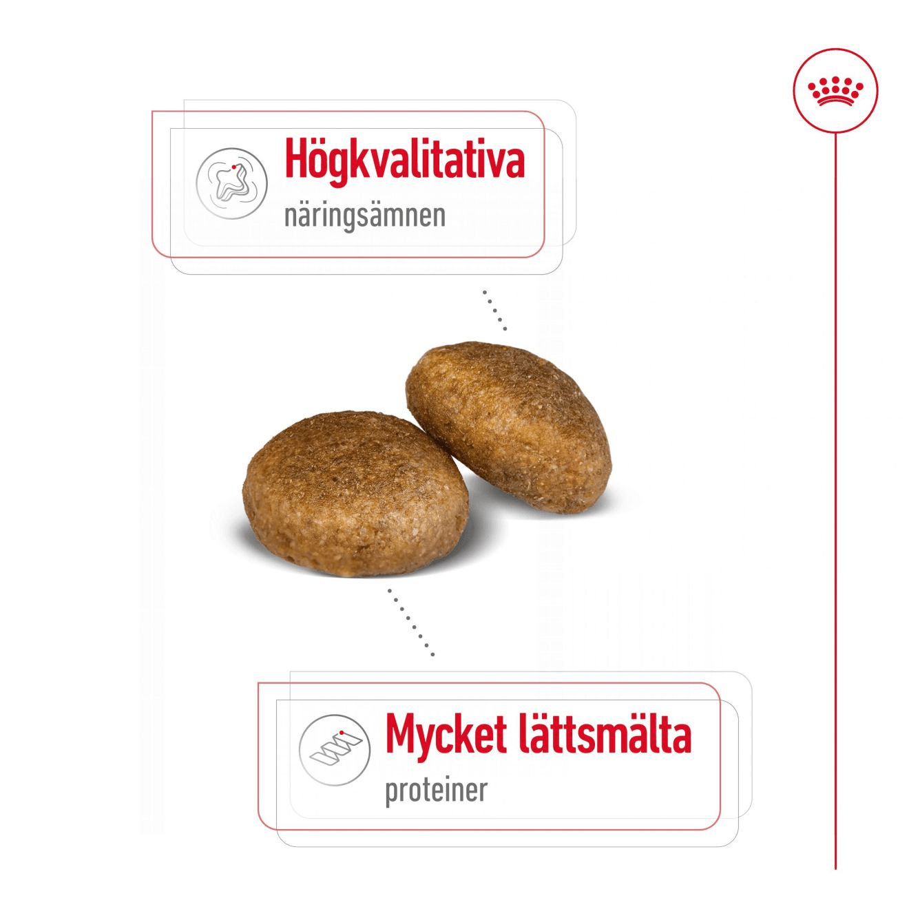 Royal Canin Maxi Adult - Handla på Gaston