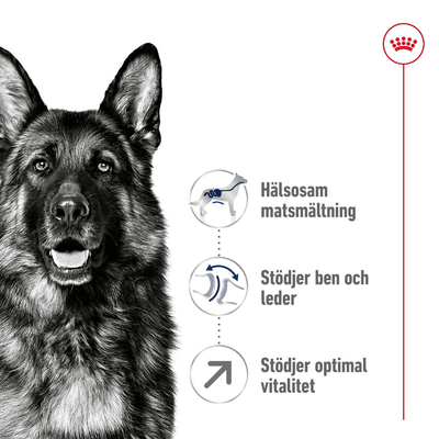 Royal Canin Maxi Adult 5+ - Handla på Gaston