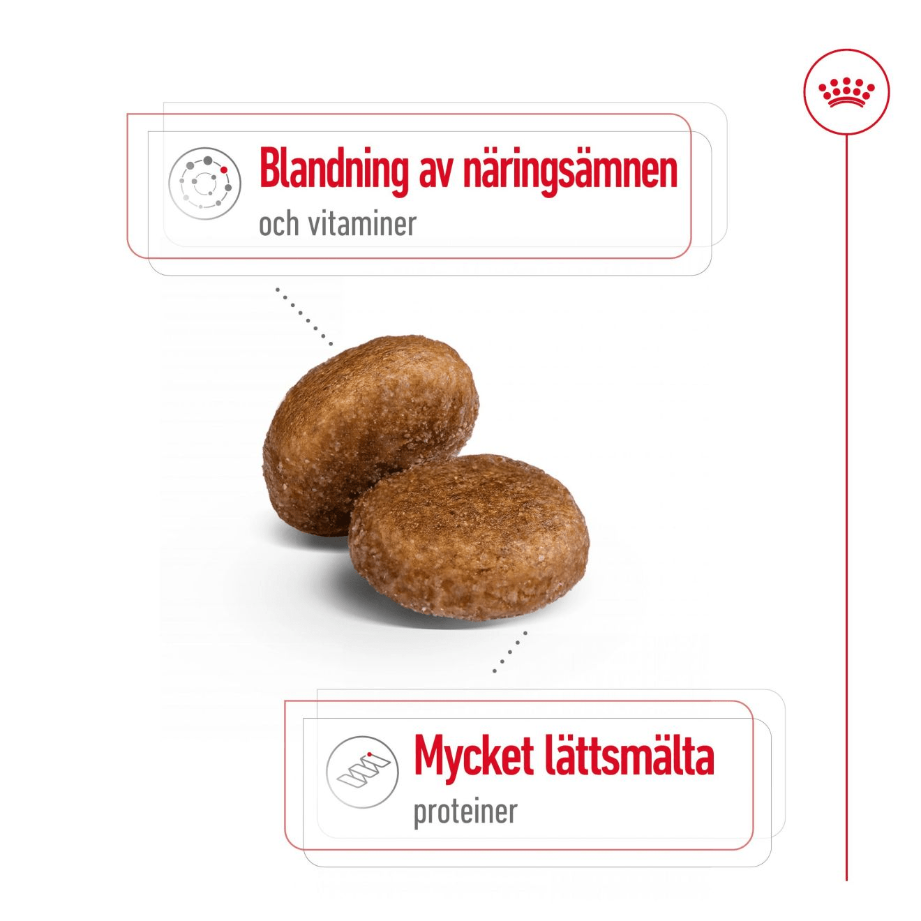 Royal Canin Maxi Adult 5+ - Handla på Gaston