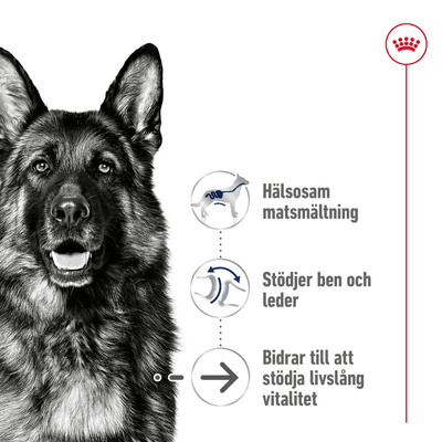 Royal Canin Maxi Ageing 8+ - Handla på Gaston