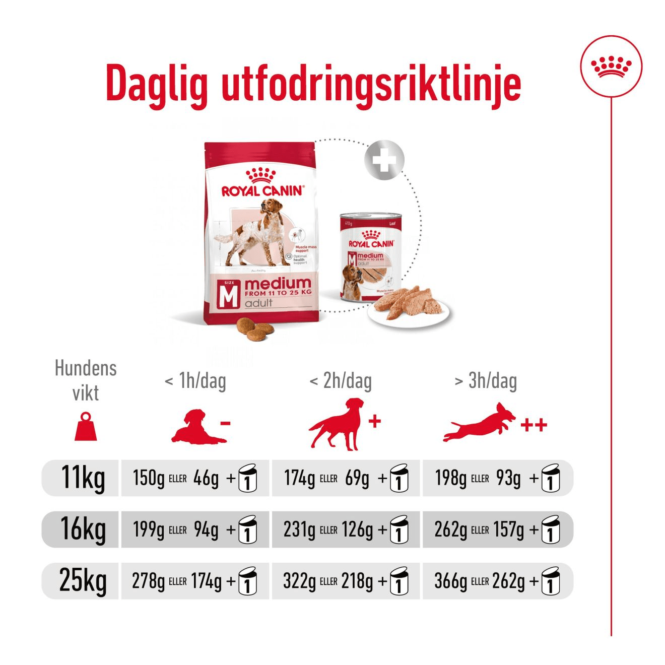 Royal Canin Medium Adult - Handla på Gaston